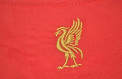 Image of Liverpool 2008/09 Domicile