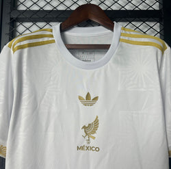 Image of Mexique 2025 Concept