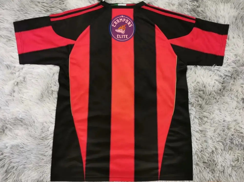 AC Milan 2010/11 Domicile