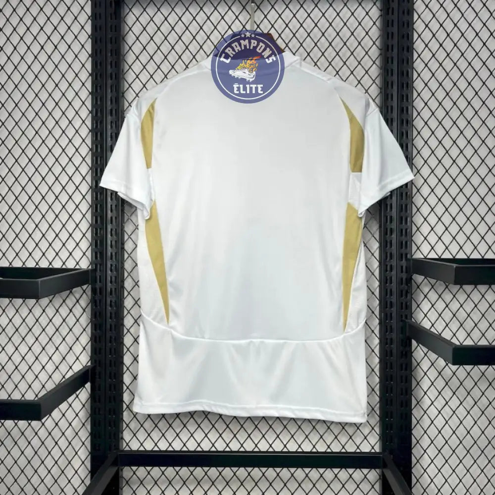 Image of Al-Nassr 2024/25 Third