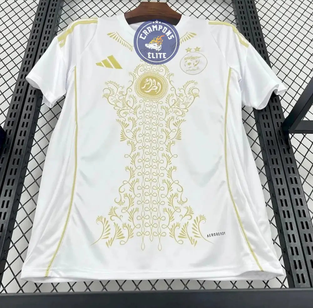 Image of Algérie 2025 Concept