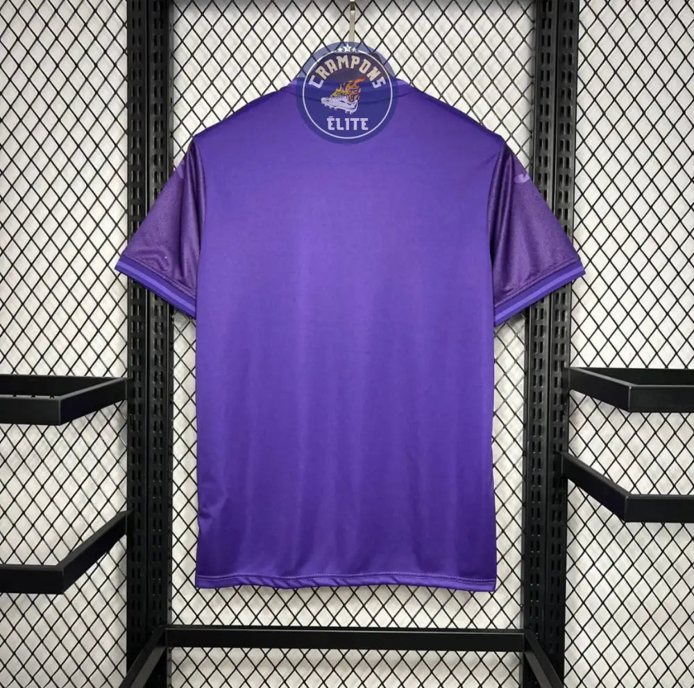 Anderlecht 2024/25 Domicile