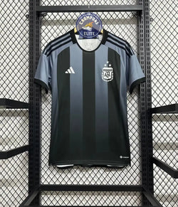 Image of Argentine 2024 Concept