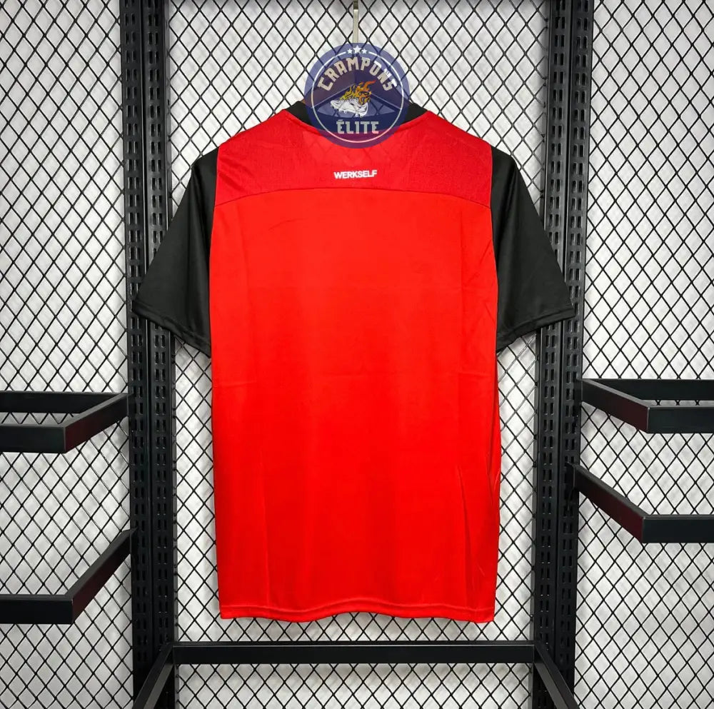 Bayer Leverkusen 2024/25 Domicile