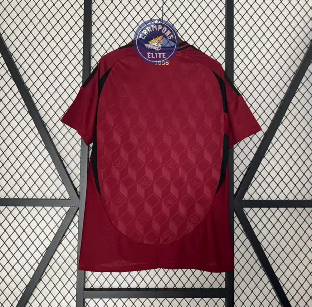 Image of Belgique 2024 Domicile