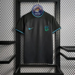 Image of Brésil 2022 Concept