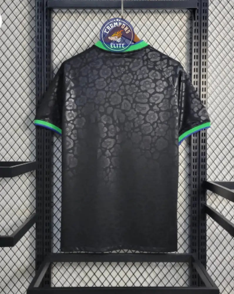 Brésil 2023 Concept