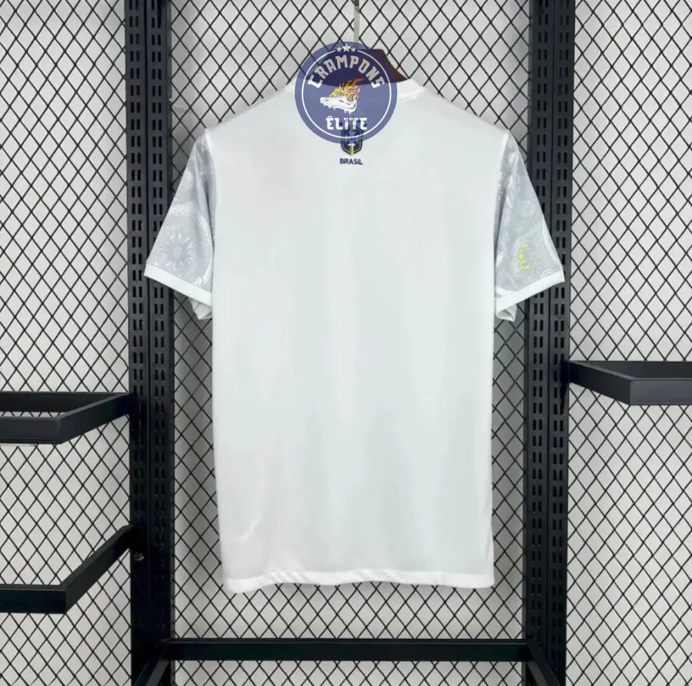 Image of Brésil 2025 Concept