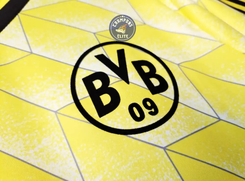 Image of BVB Dortmund 1888/89 Domicile