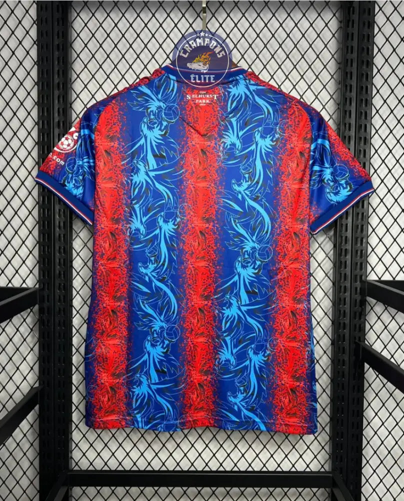Crystal Palace 2024/25 Domicile