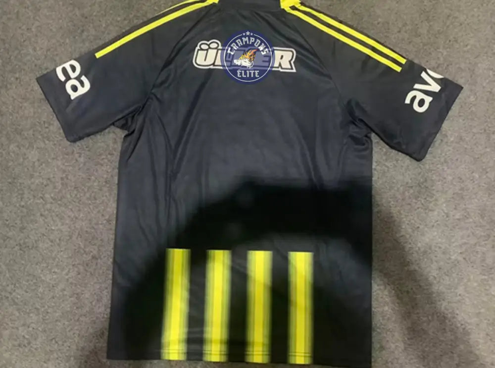 Image of Fenerbahçe 2013/14 Domicile