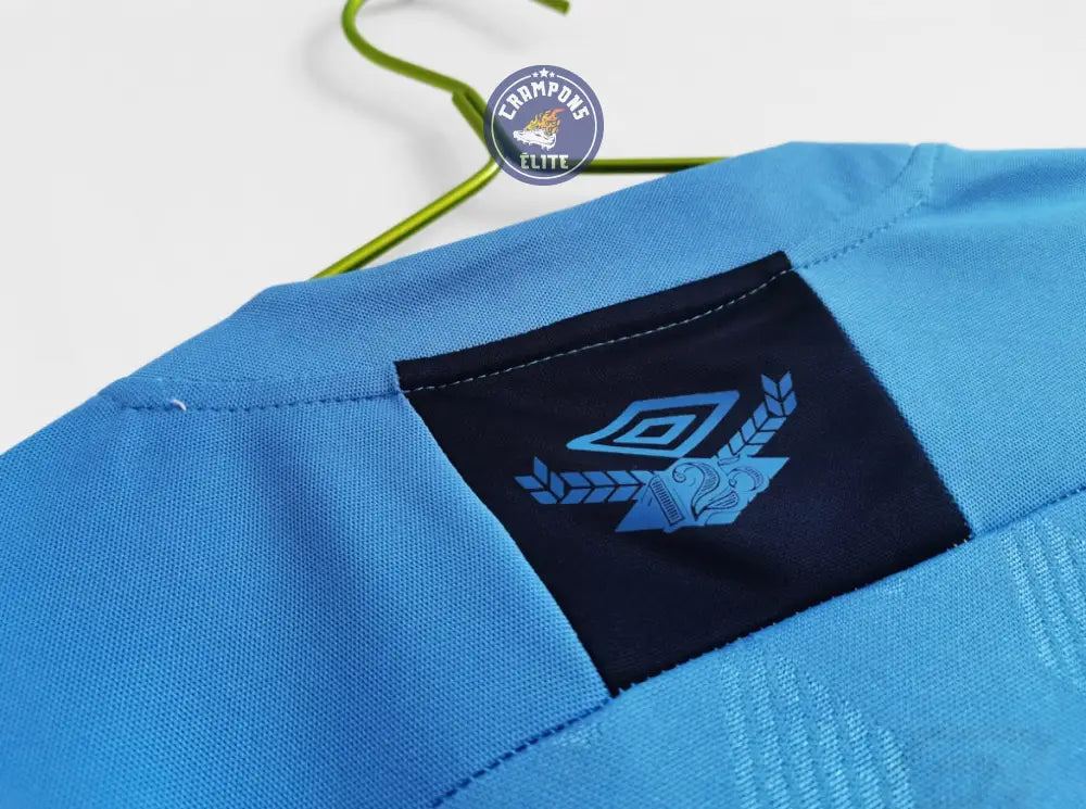 Image of Grêmio 2020/21 Domicile