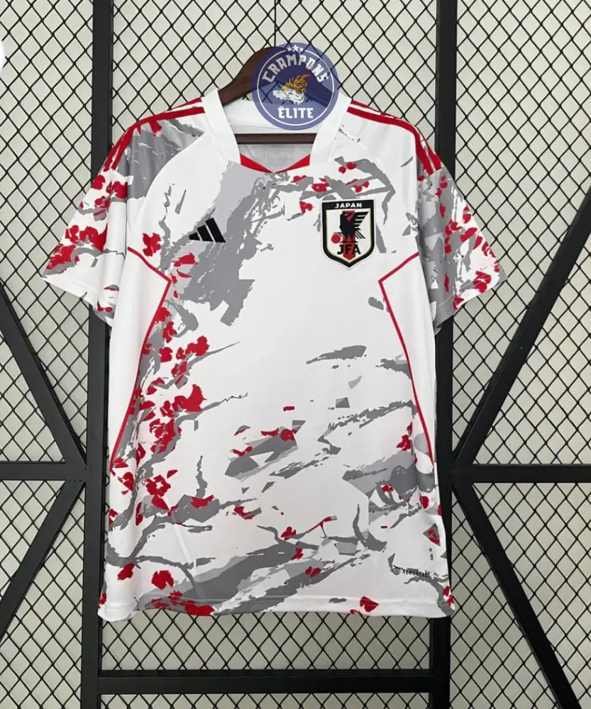 Japon 2024 Concept