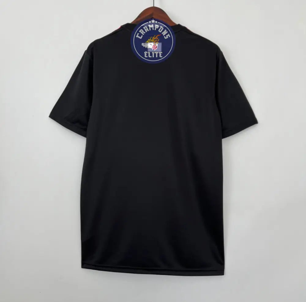 Image of Japon 2024 Concept