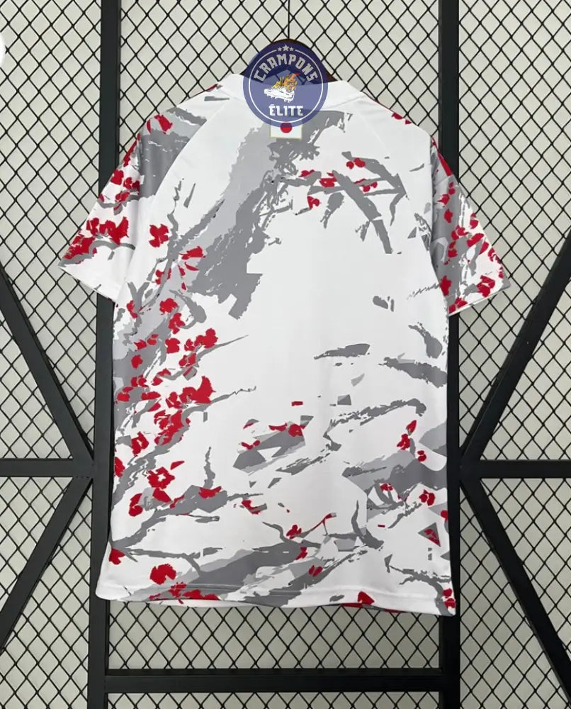 Japon 2024 Concept