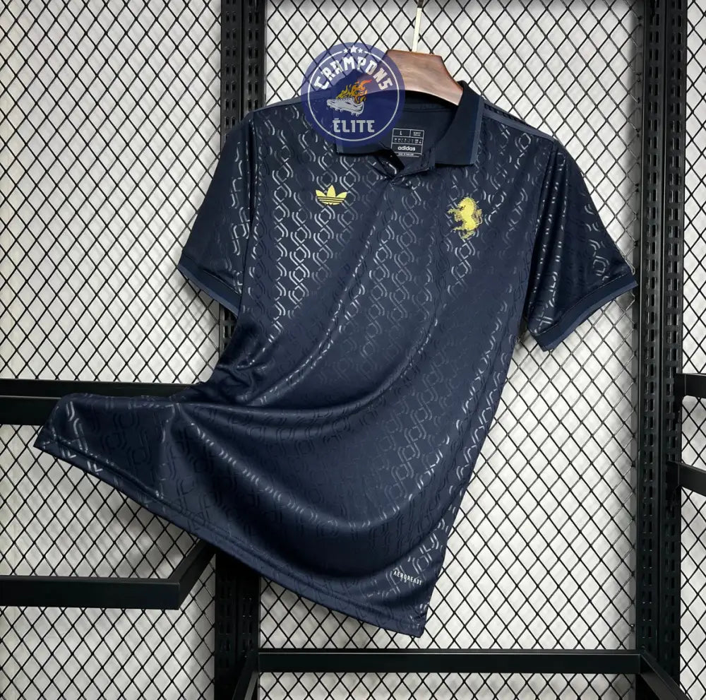 Image of Juventus 2024/25 Third