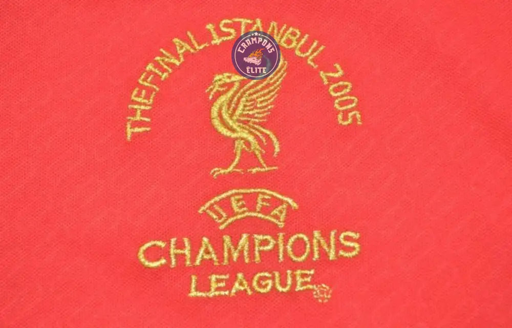 Image of Liverpool 2004/05 Domicile