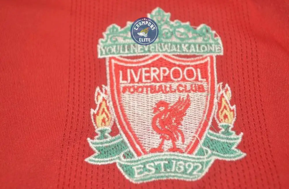 Image of Liverpool 2008/09 Domicile