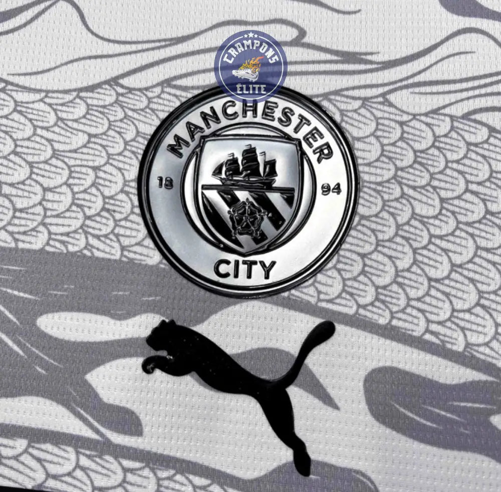 Manchester City 2023/24 Concept