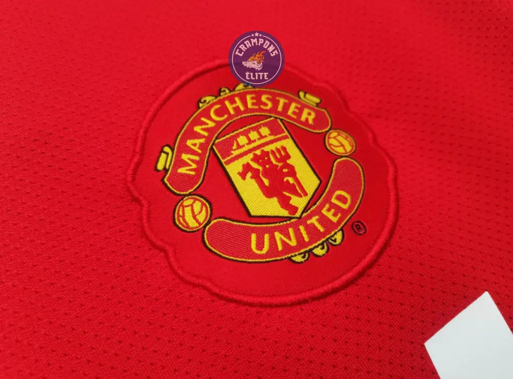 Manchester United 2010/11 Domicile