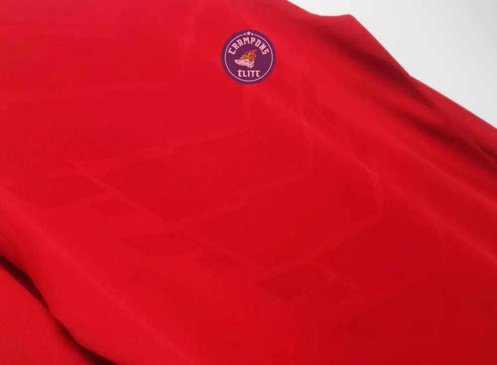 Image of Manchester United 2010/11 Domicile à manches longues