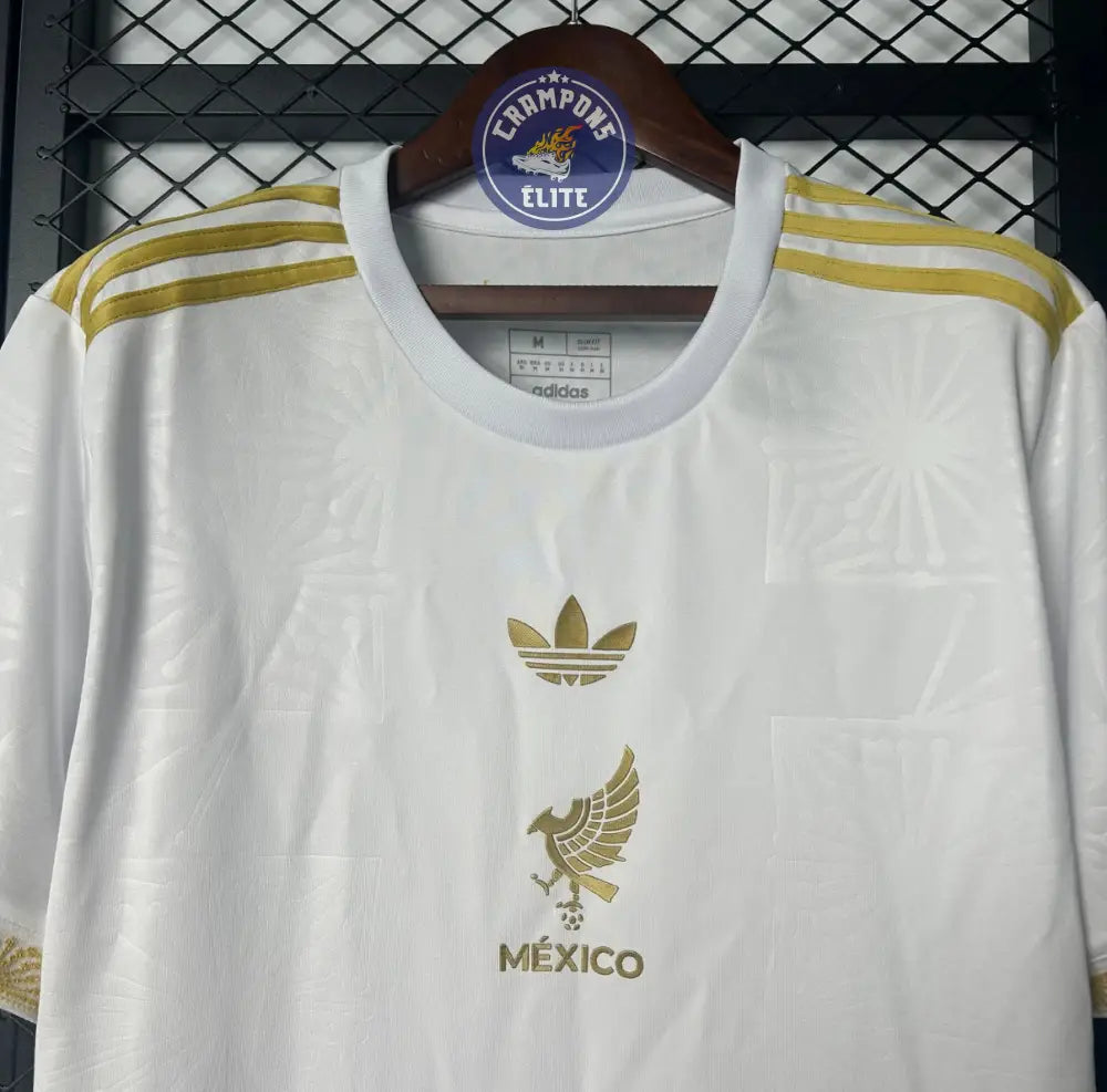 Mexique 2025 Concept