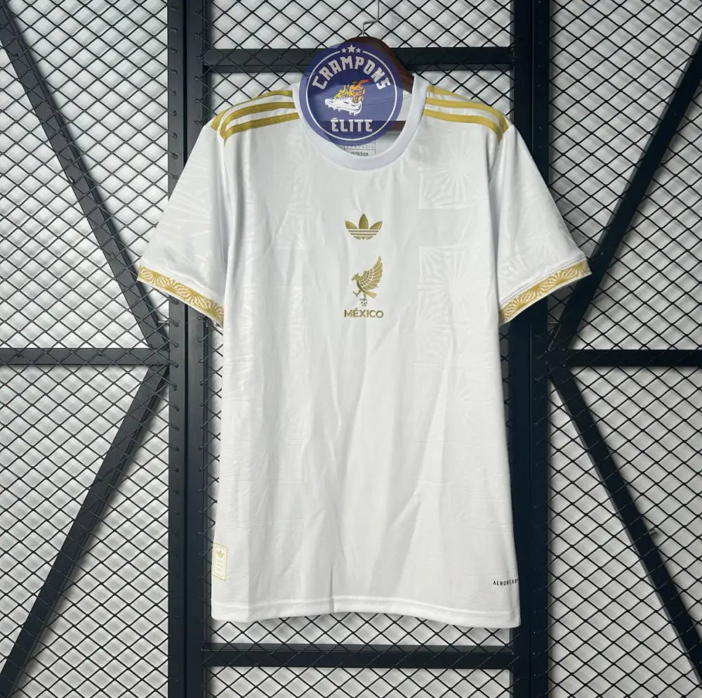 Image of Mexique 2025 Concept