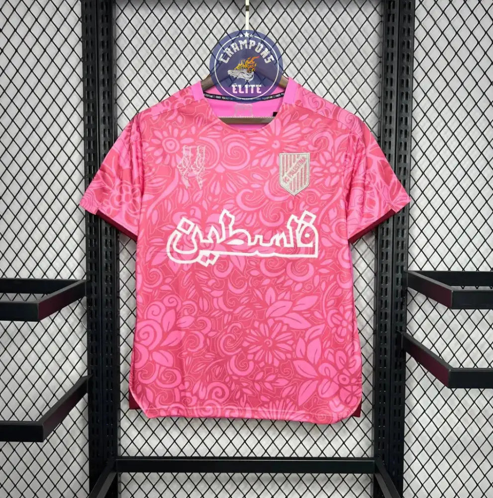 Image of Palestine 2024 Concept