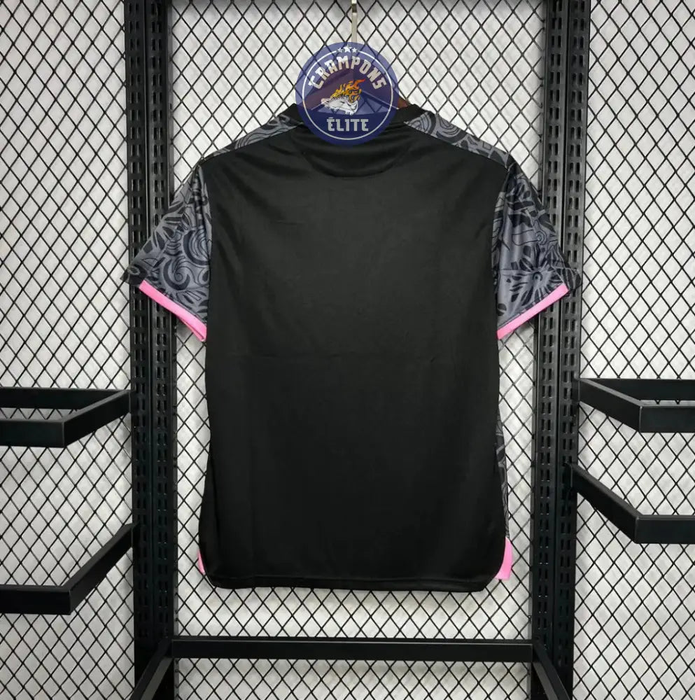 Image of Palestine 2024 Concept