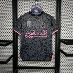 Image of Palestine 2024 Concept