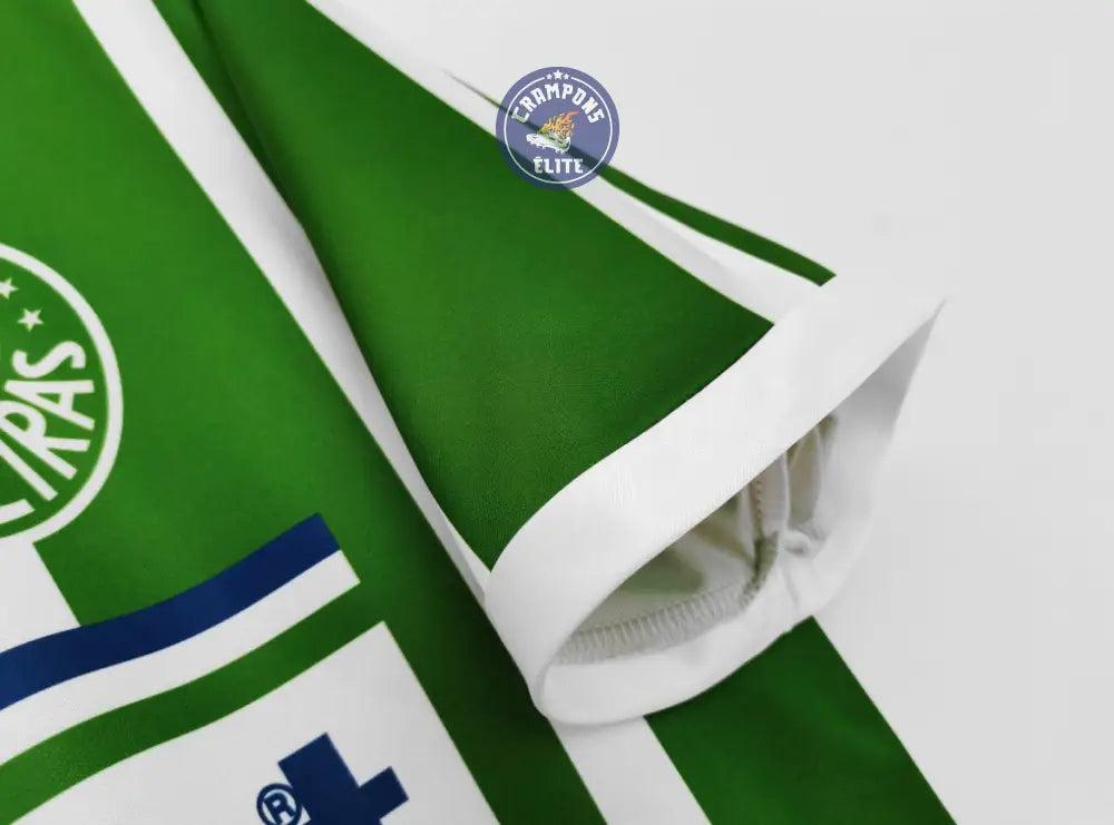 Palmeiras 1991/92 Domicile