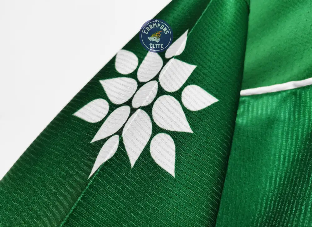 Palmeiras 1998/99 Domicile