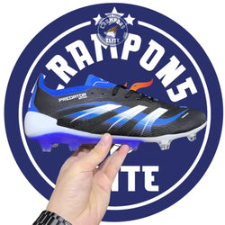 Image of Predator 25.1 Elite FG Noir/Bleu/Blanc