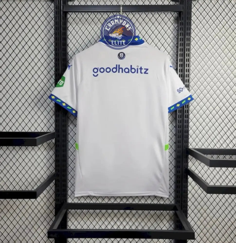 PSV 2024/25 Third