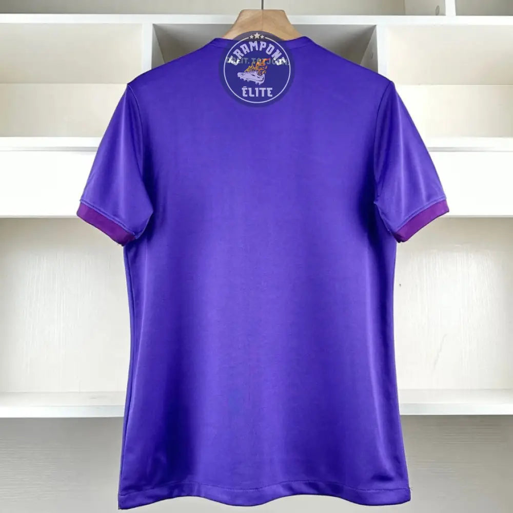 Toulouse 2024/25 Domicile