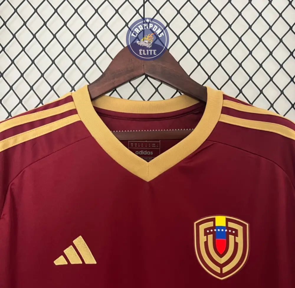 Image of Venezuela 2024 Domicile