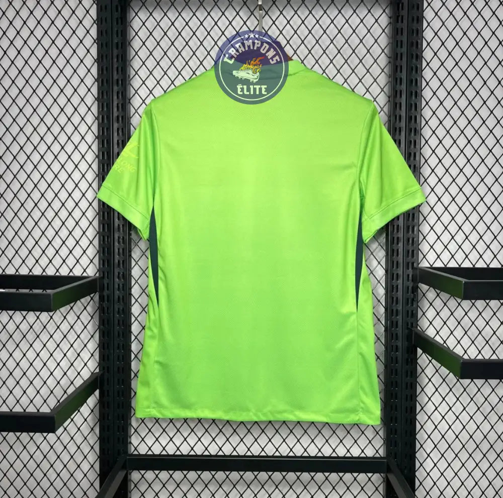 VfL Wolfsburg 2024/25 Domicile